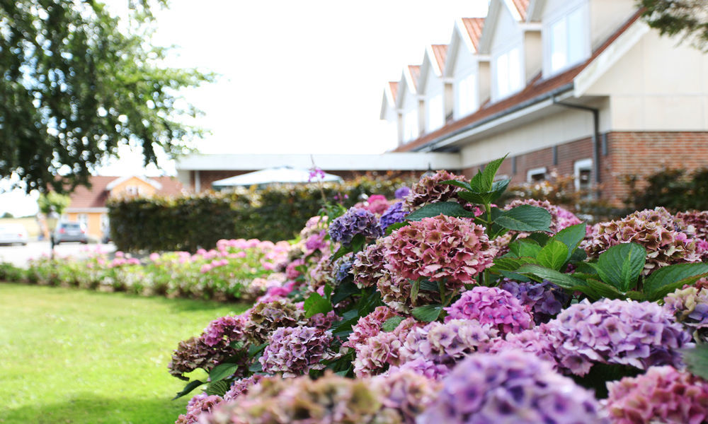 Fangel Kro & Hotel Bellinge Luaran gambar